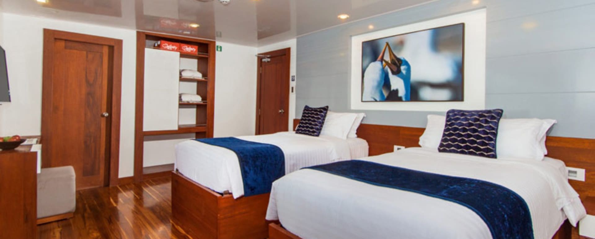 Infinity Galapagos Yacht - twin room 