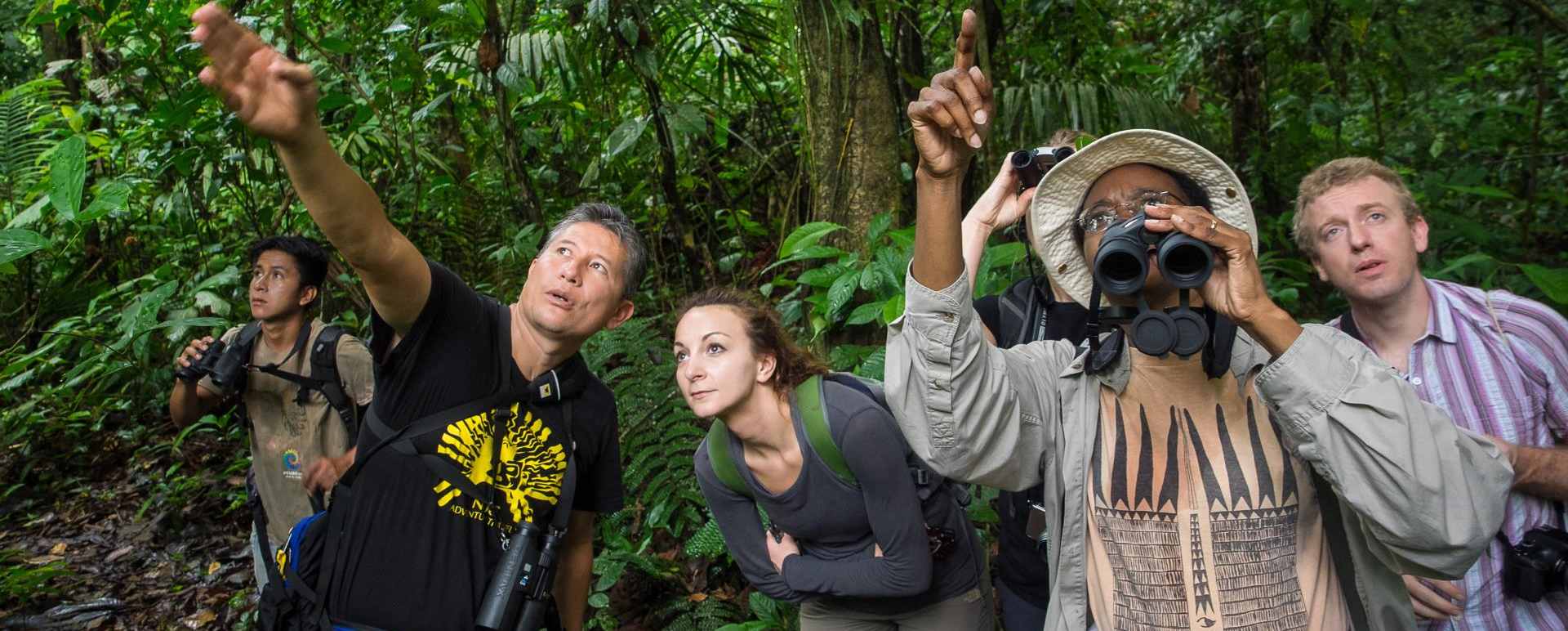Wildlife spotting  - La Selva Jungle Lodge