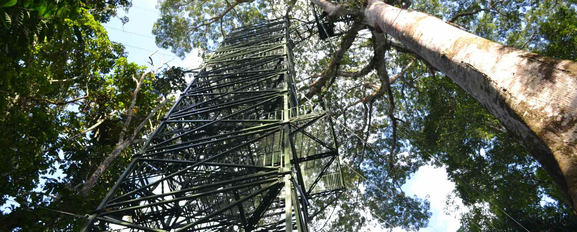Observation tower  - La Selva Jungle Lodge