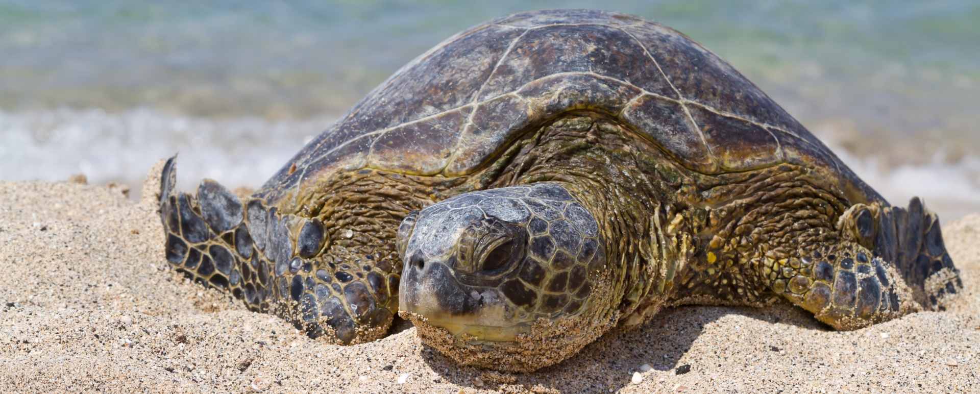 Ecuador and Galapagos with Kids 