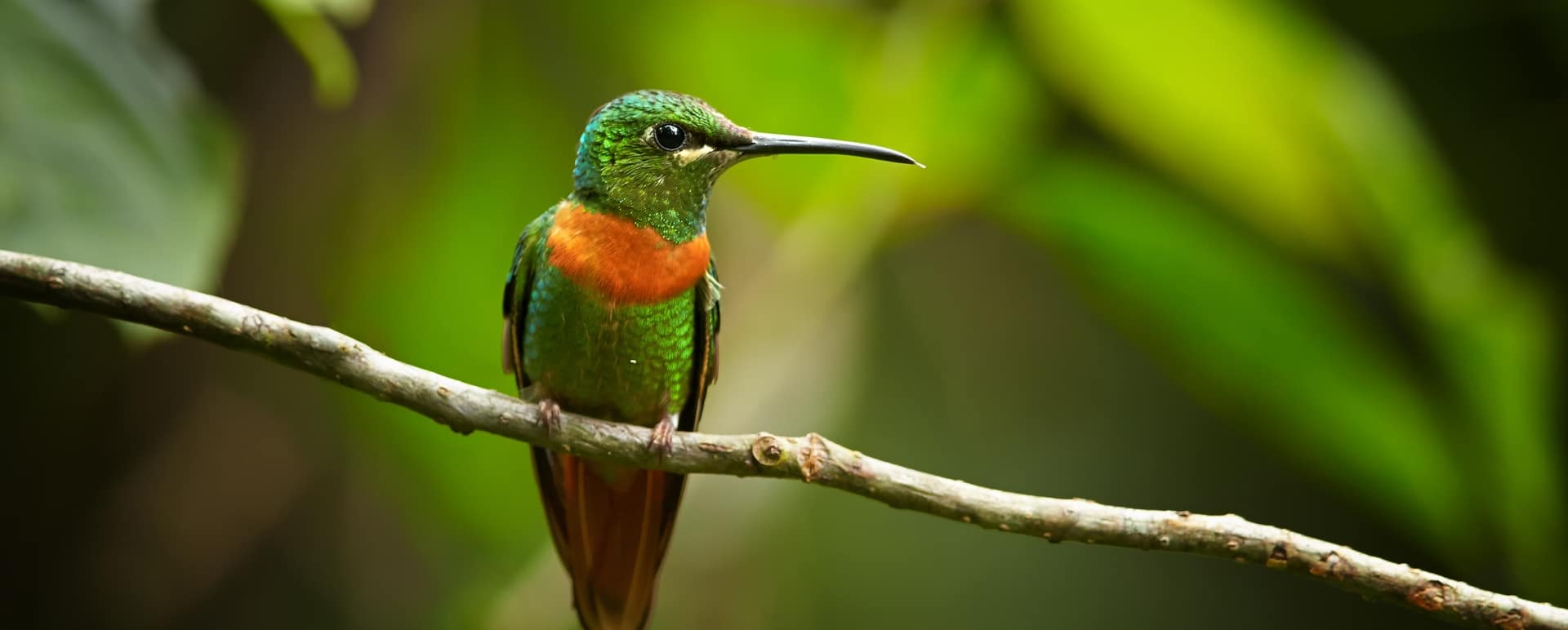 Epic Ecuador and Galapagos 