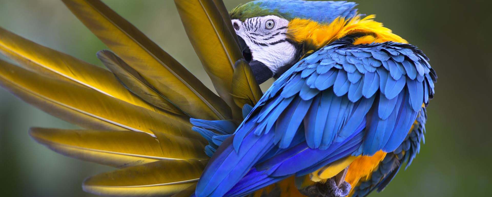 Amazon - Family Ecuador & Galapagos Islands Adventure