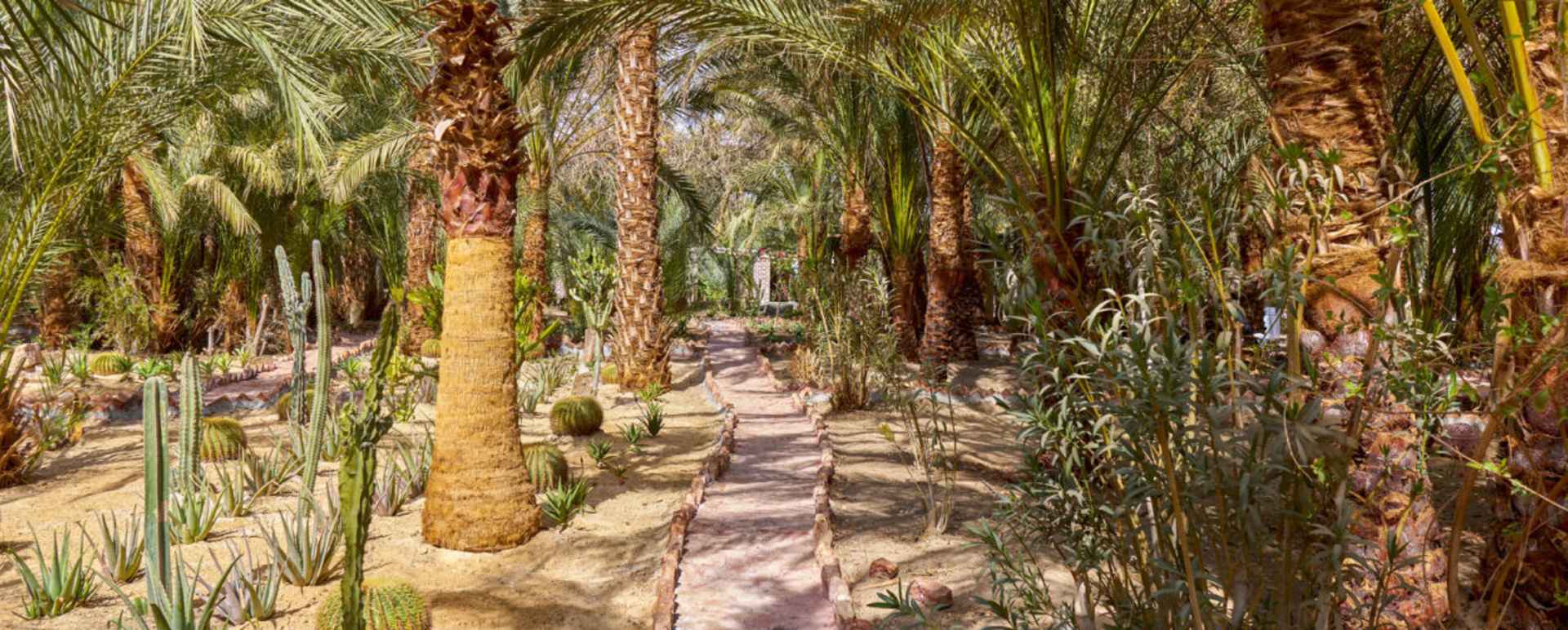 Al Moudira 