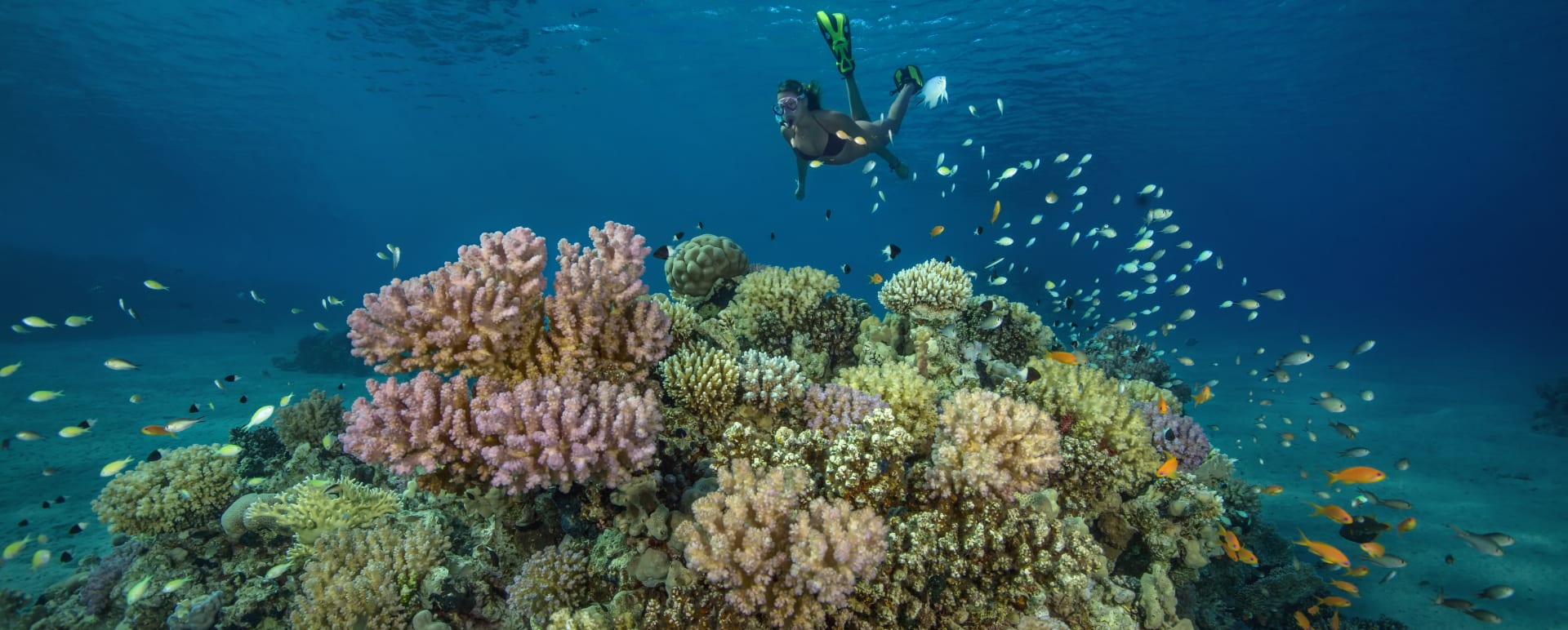 Sharm El Sheikh  