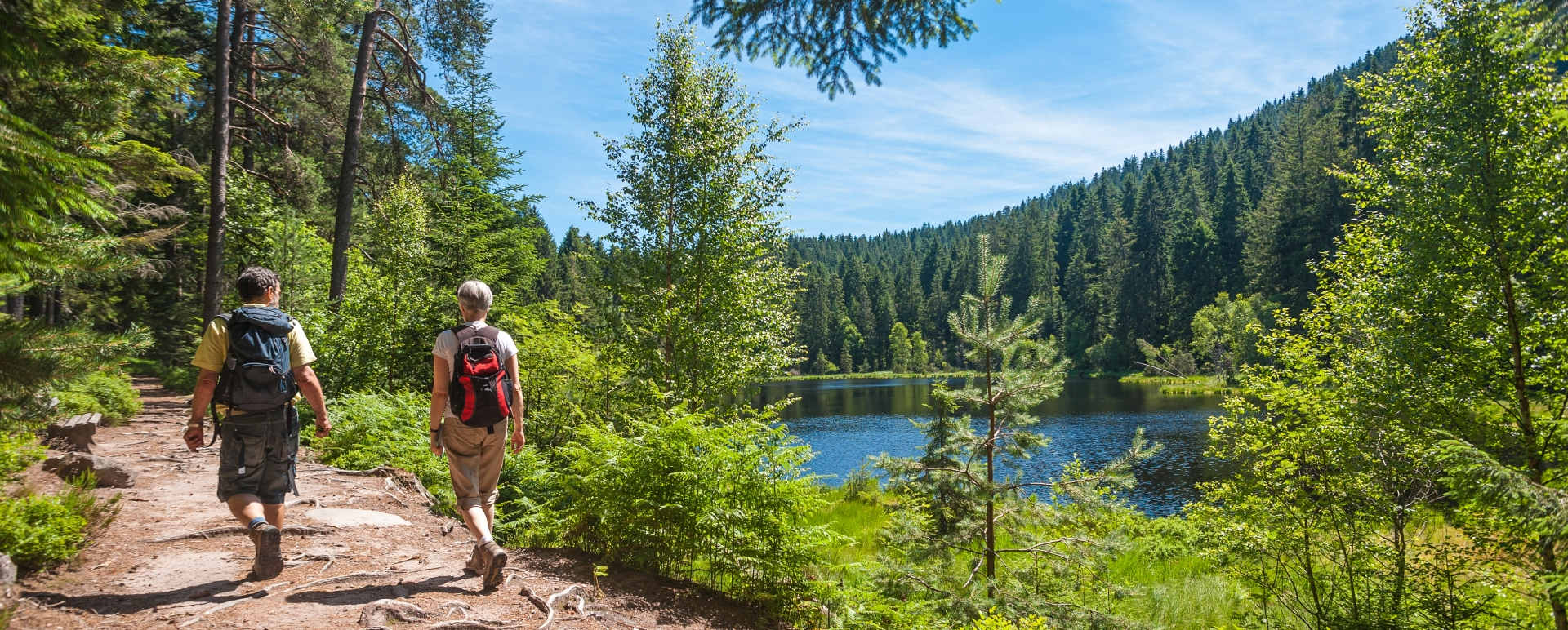 Black Forest