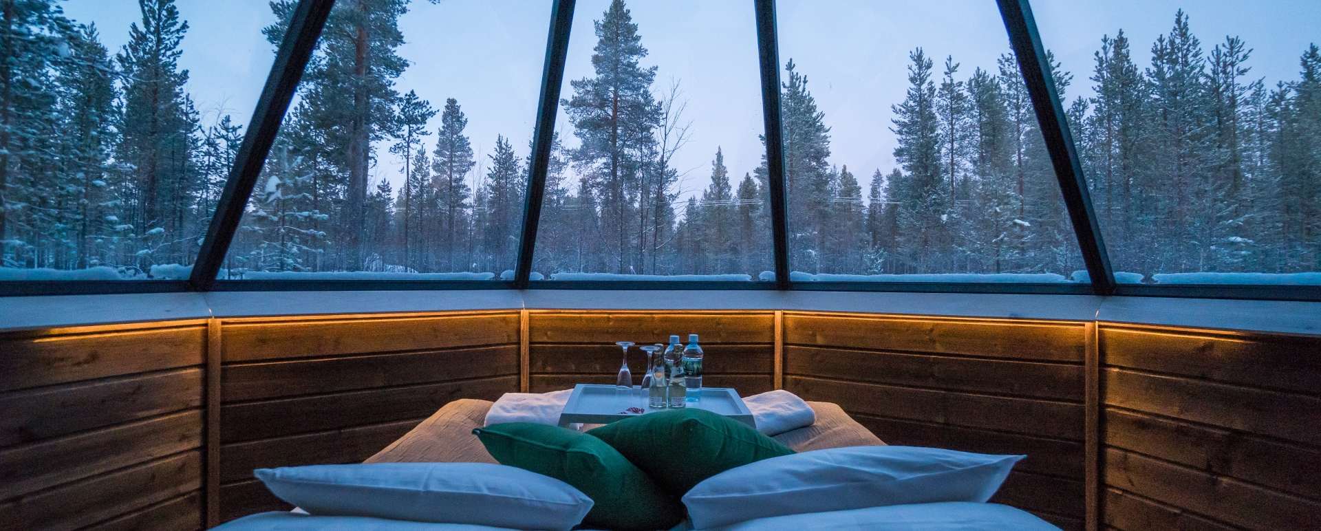 Cabin bed and interior 