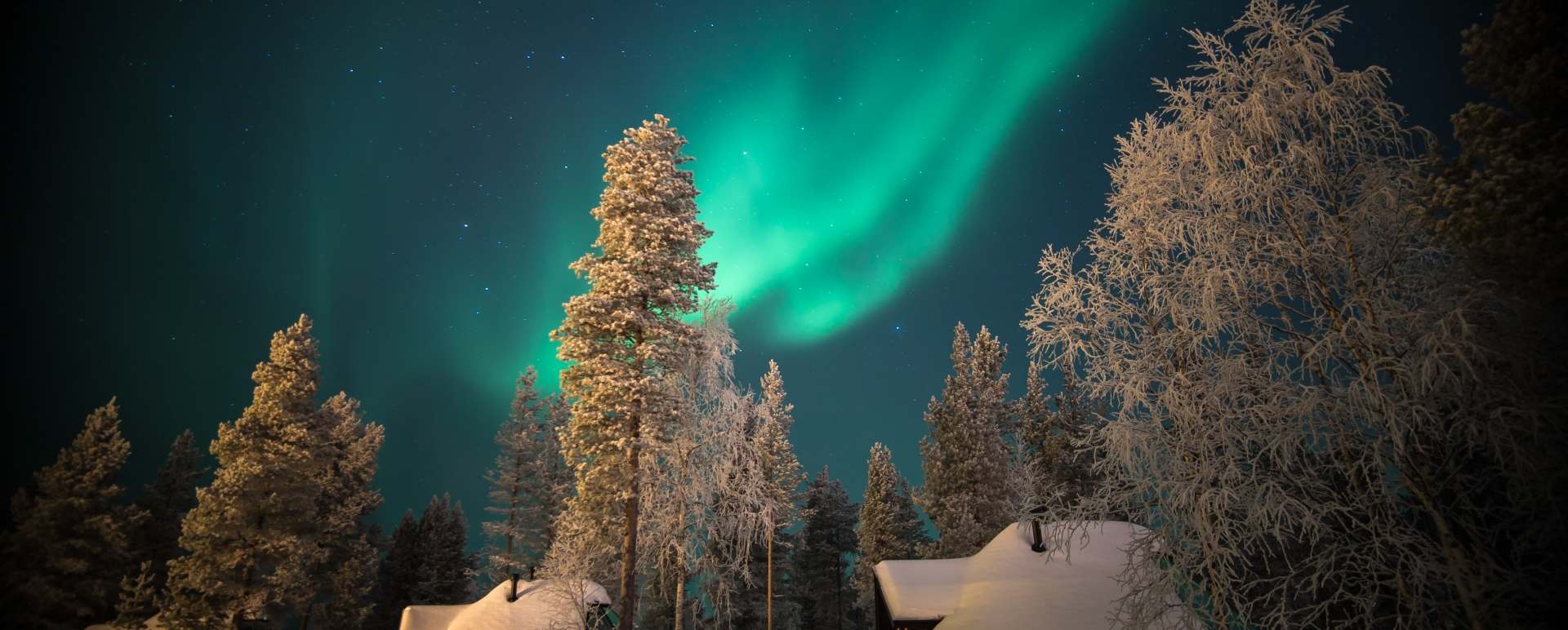Northern Lights 