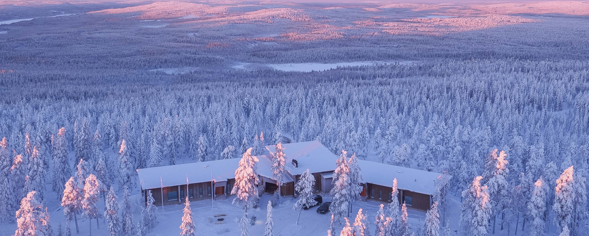 AerialWinter  