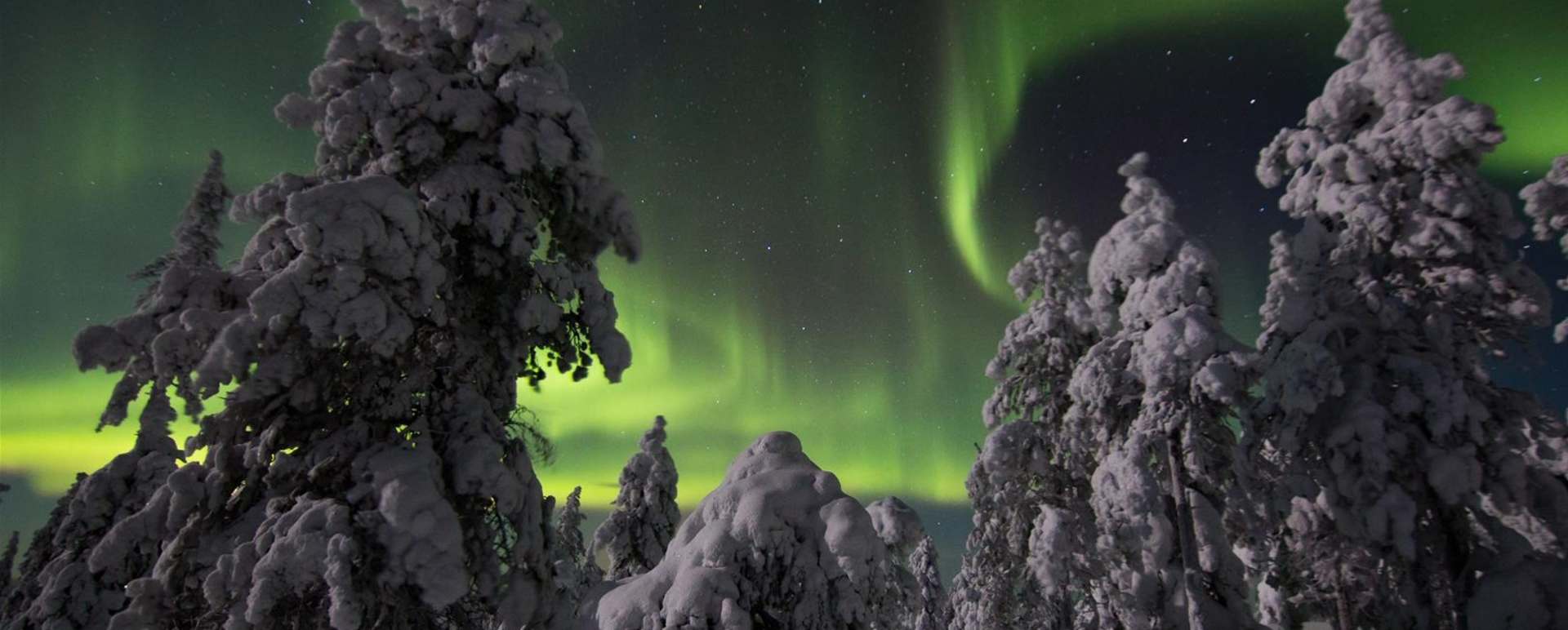 Northern Lights tour by snowmobile
