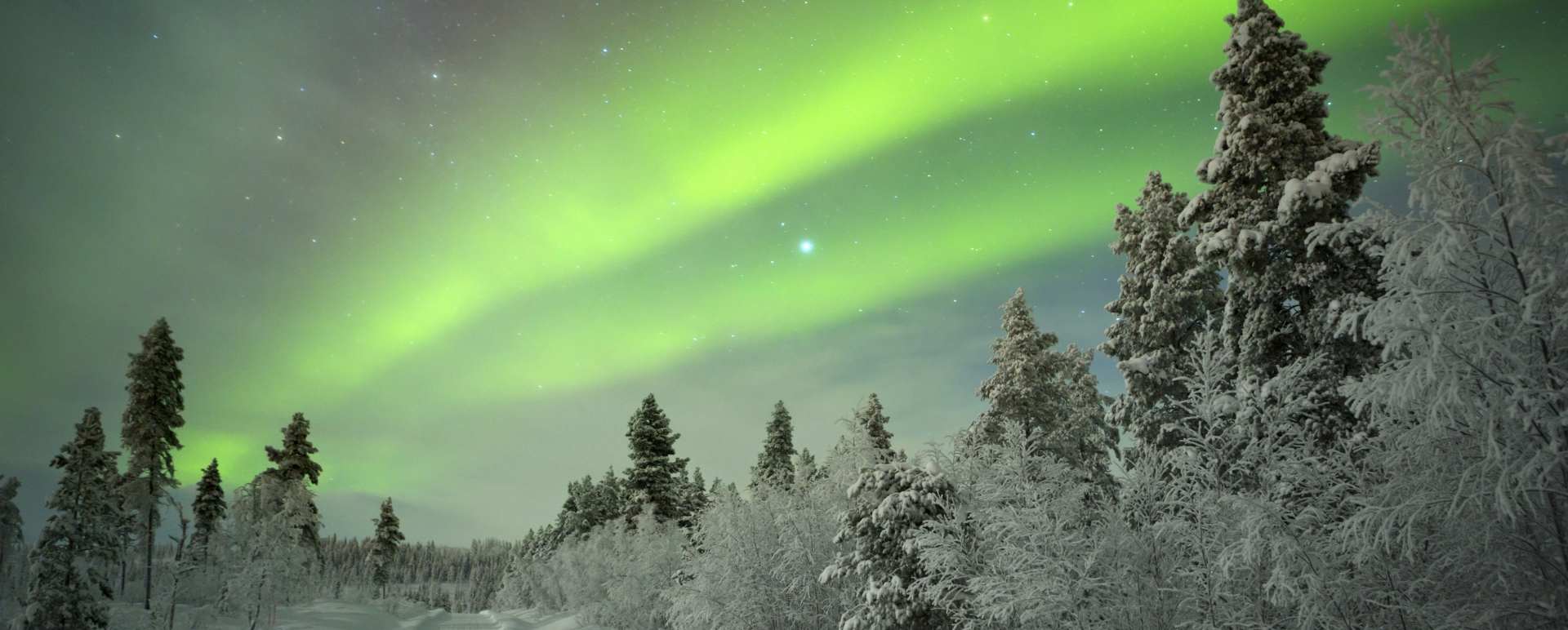 Private reindeer sleigh ride to see the Northern Lights