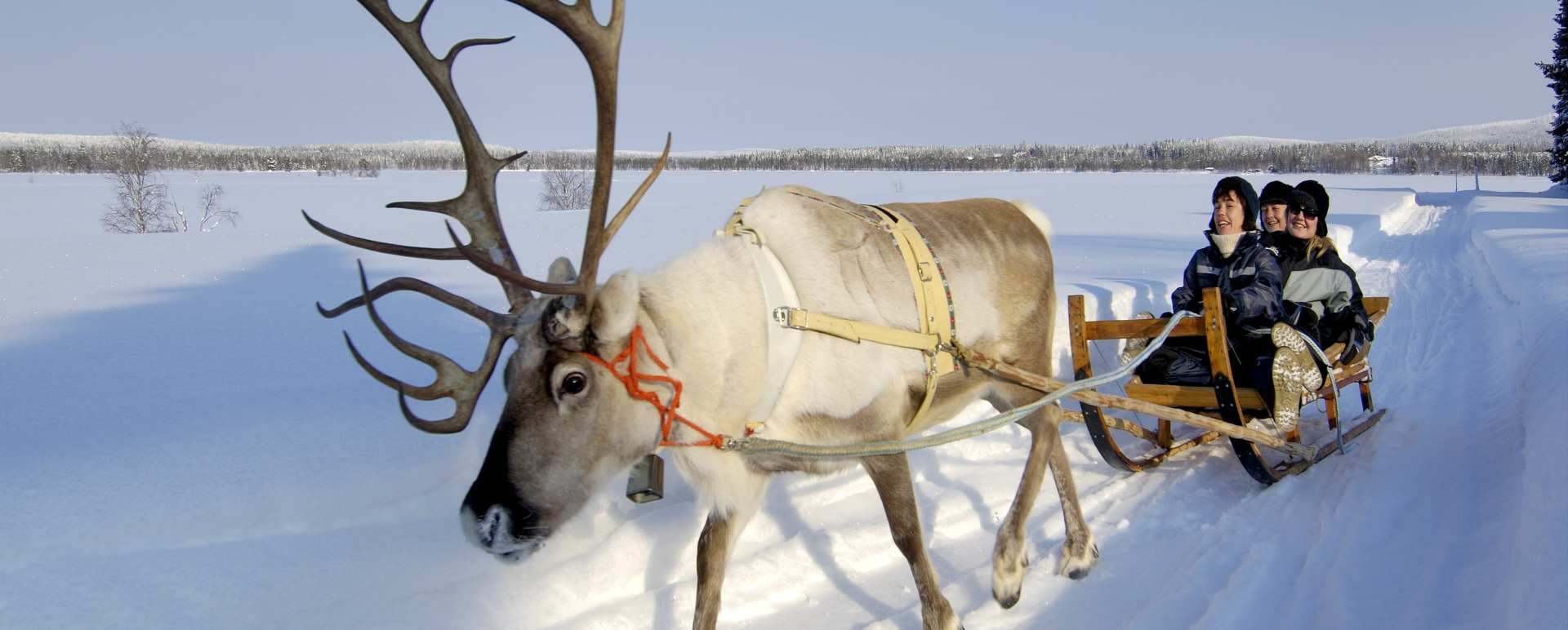 Reindeer Ride - Simply Finnish Lapland