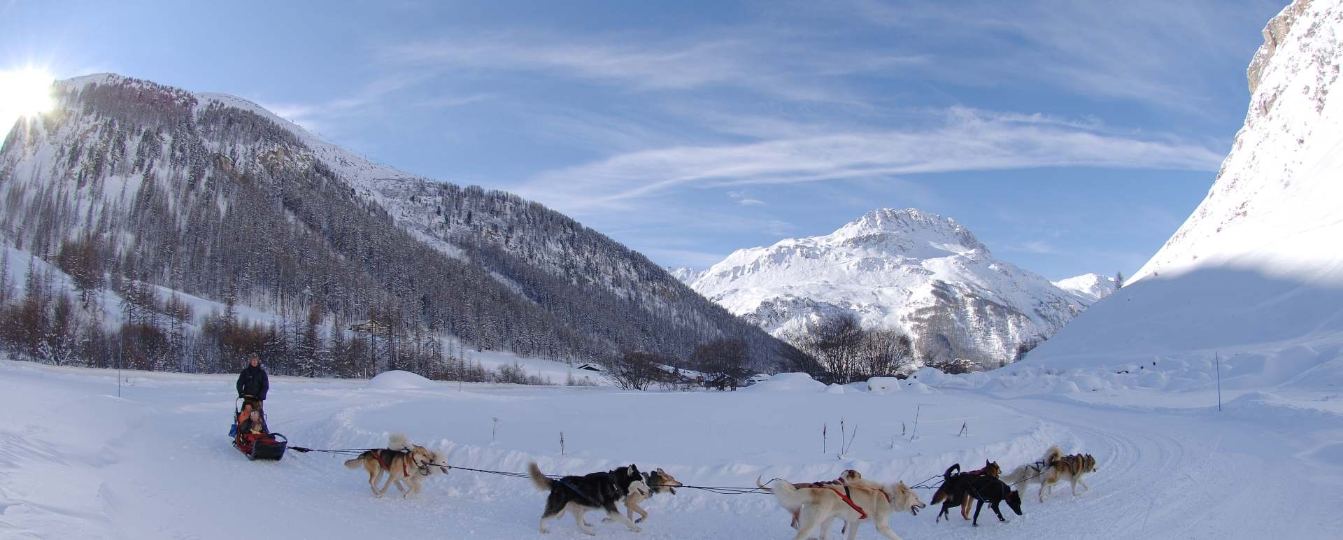 Dog sledding