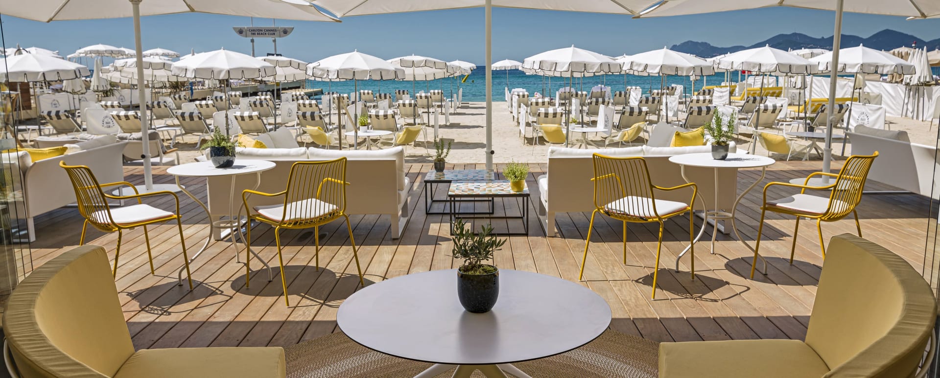 Carlton Beach Club 
