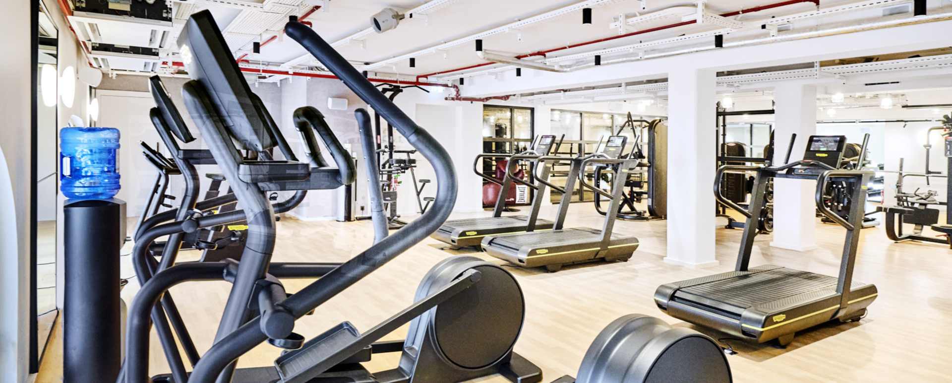 Club Fitness 