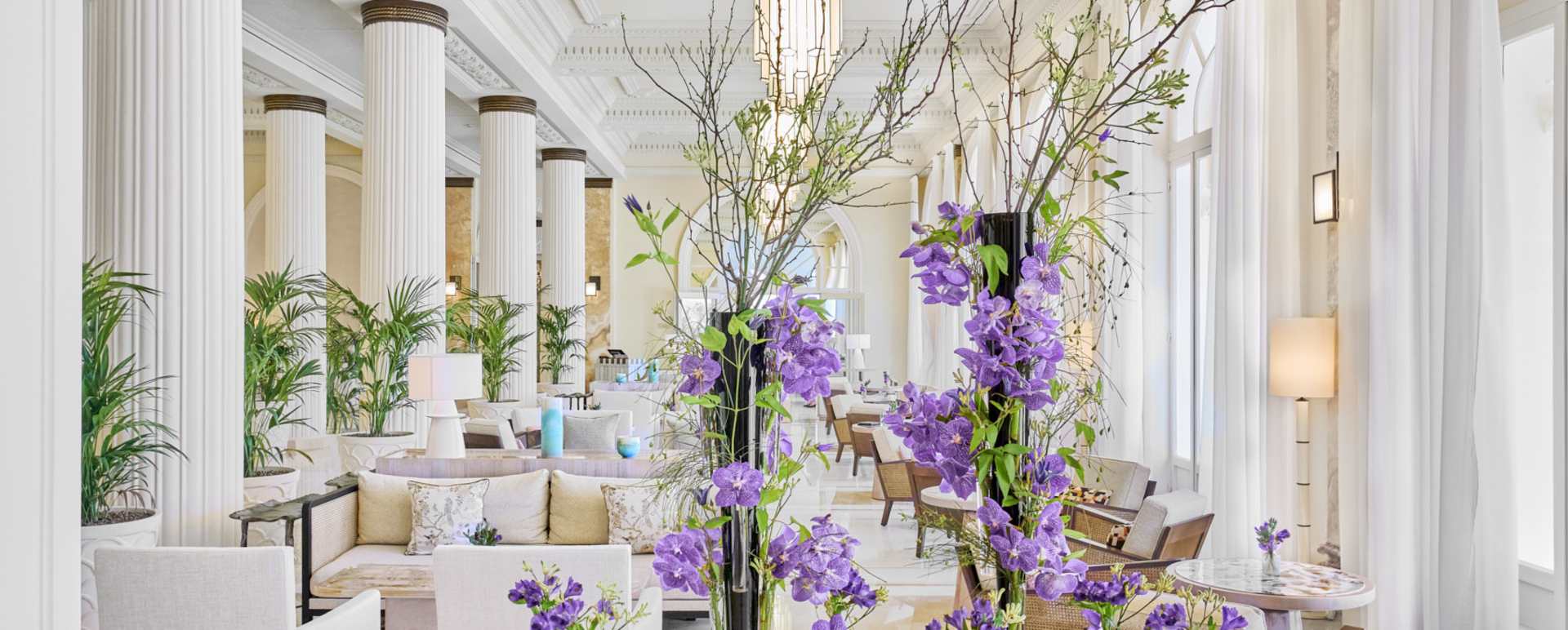 Camelia tea lounge 