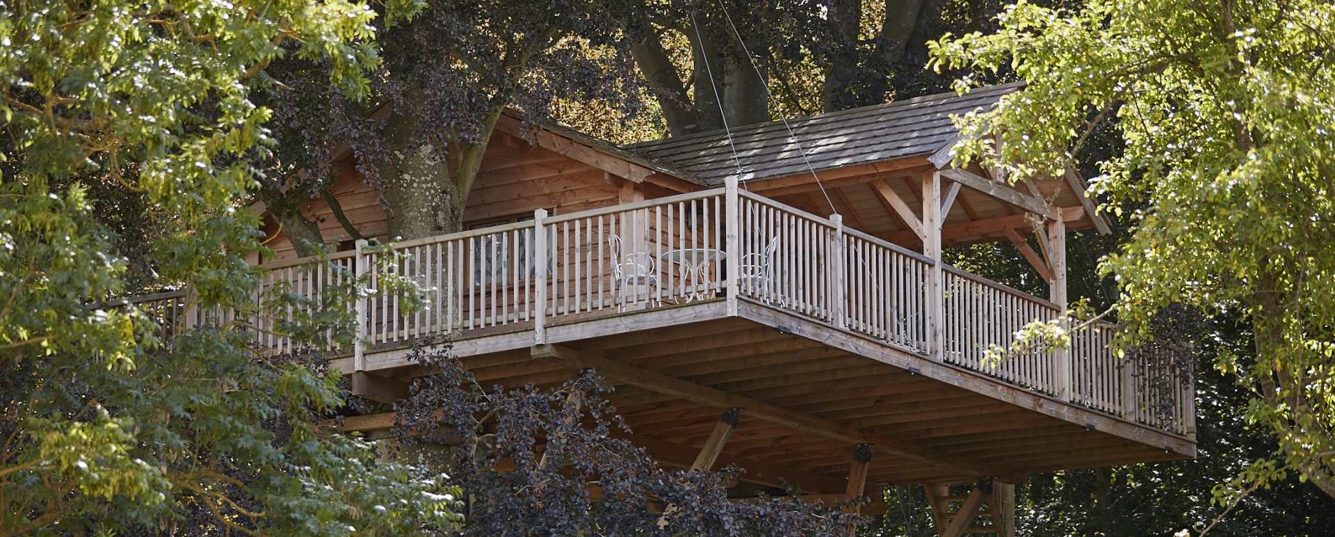 Treehouse 