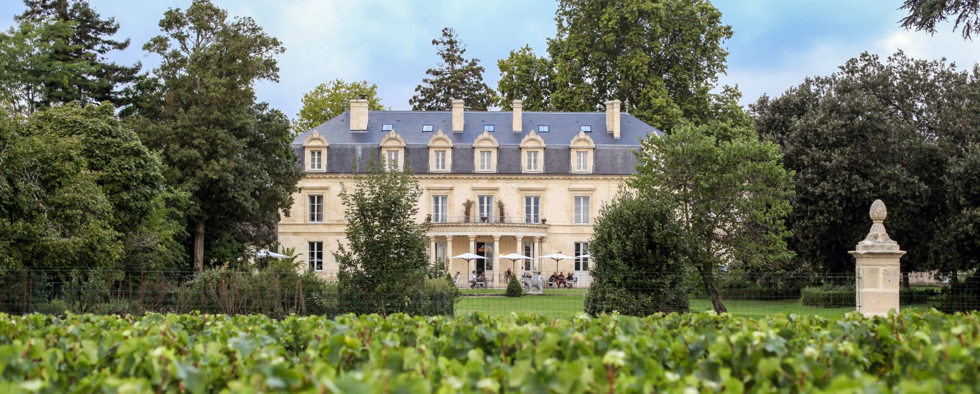 Outside View with Vineyards 
