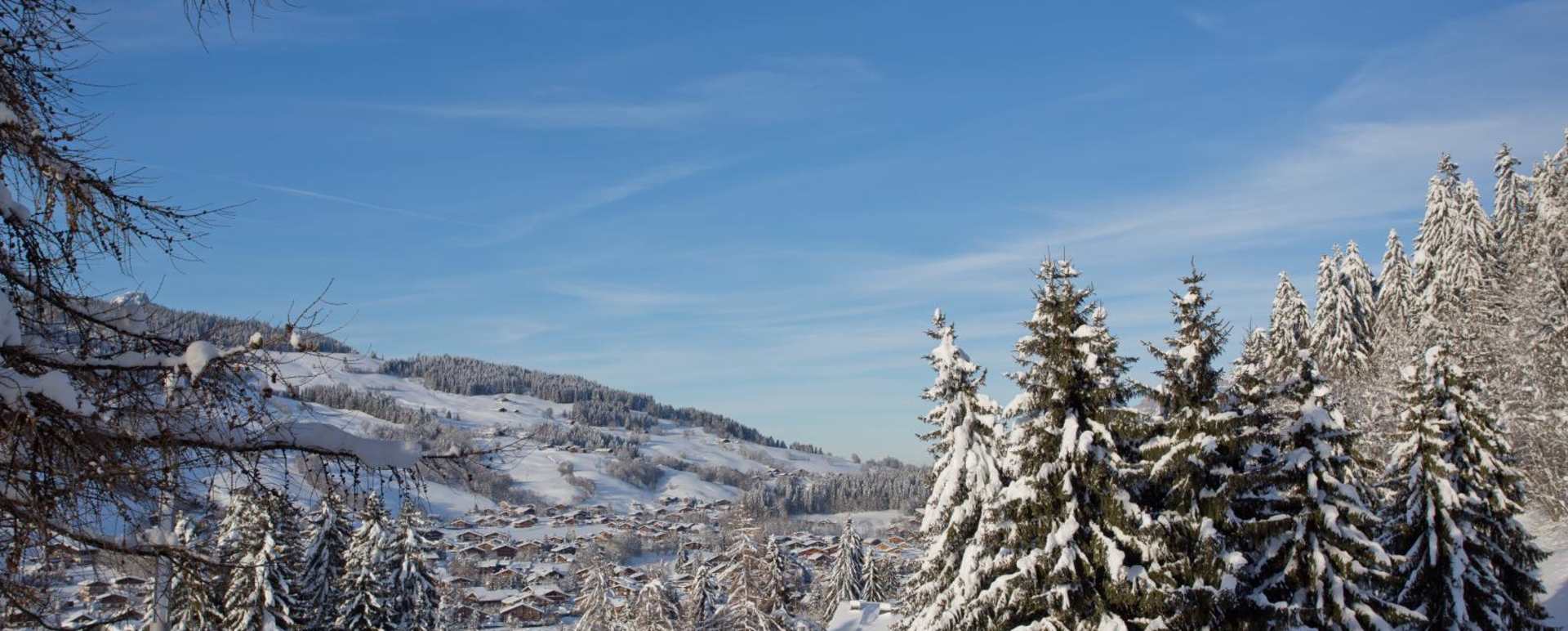 Megève - Le Lodge Park