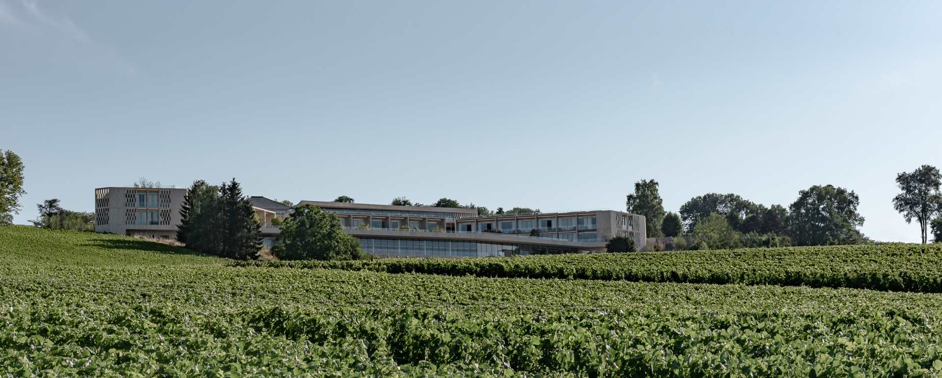 Royal Champagne exterior and vineyard 