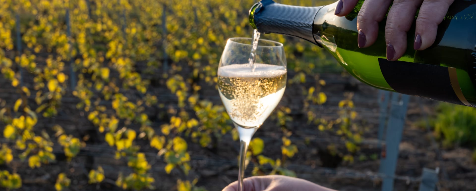 Champagne for a day