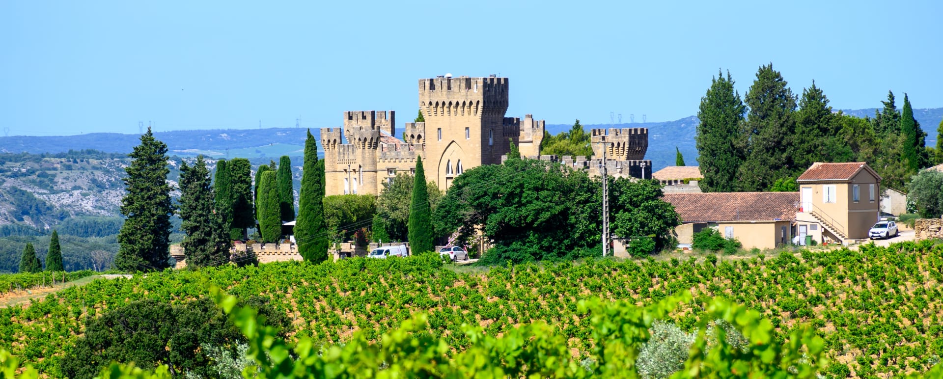 Chateauneuf du Pape Full Day Discovery