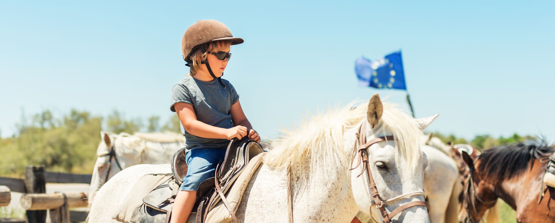 Private Horseback Adventure in the Camargue