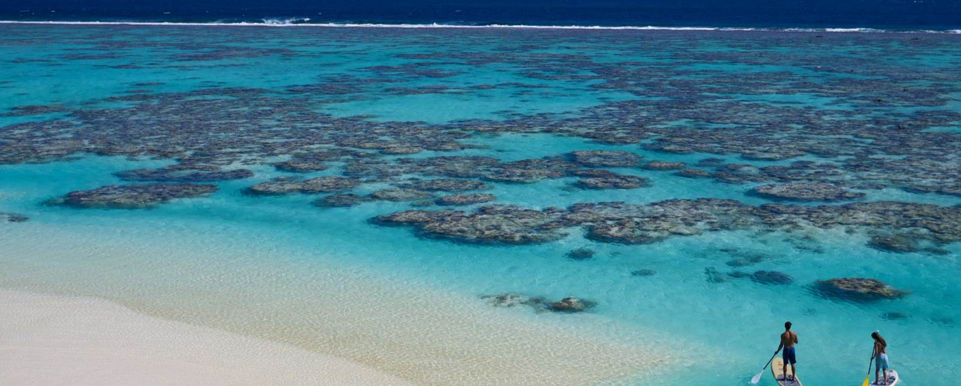 Reef - The Brando Private Island