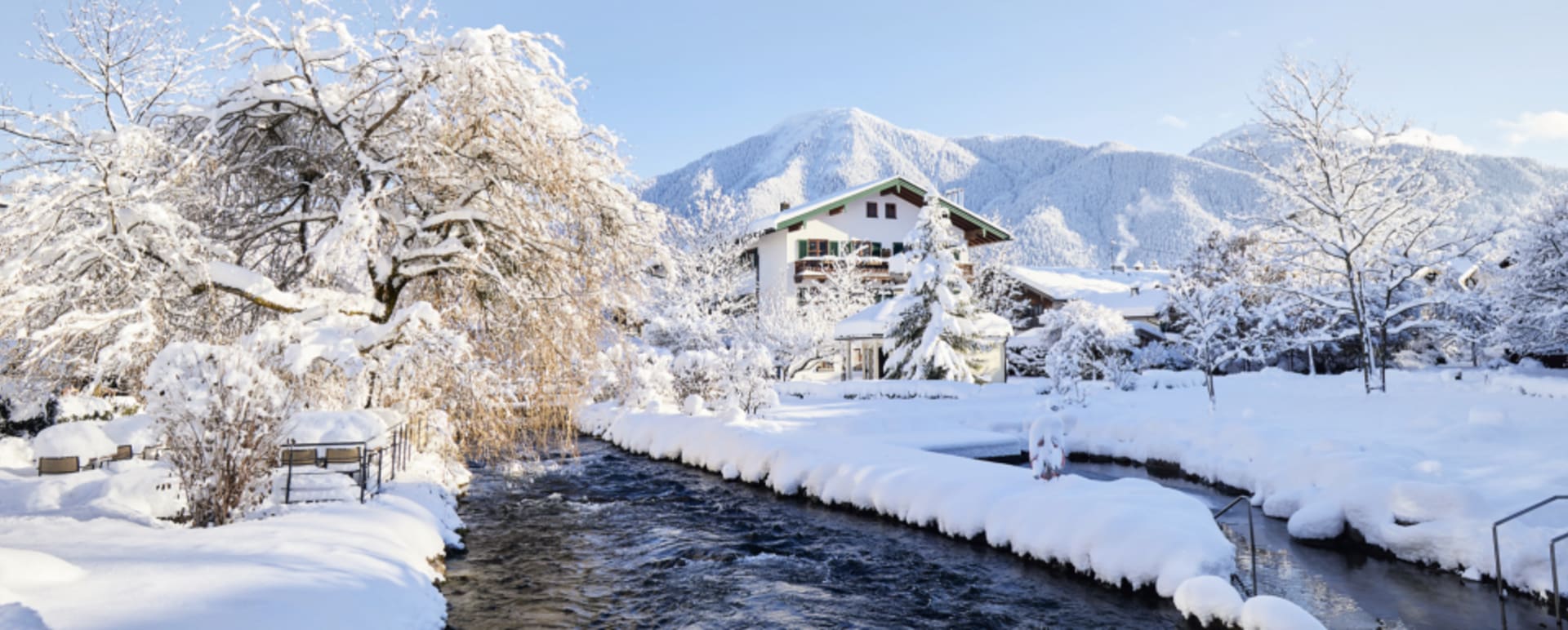 winter  