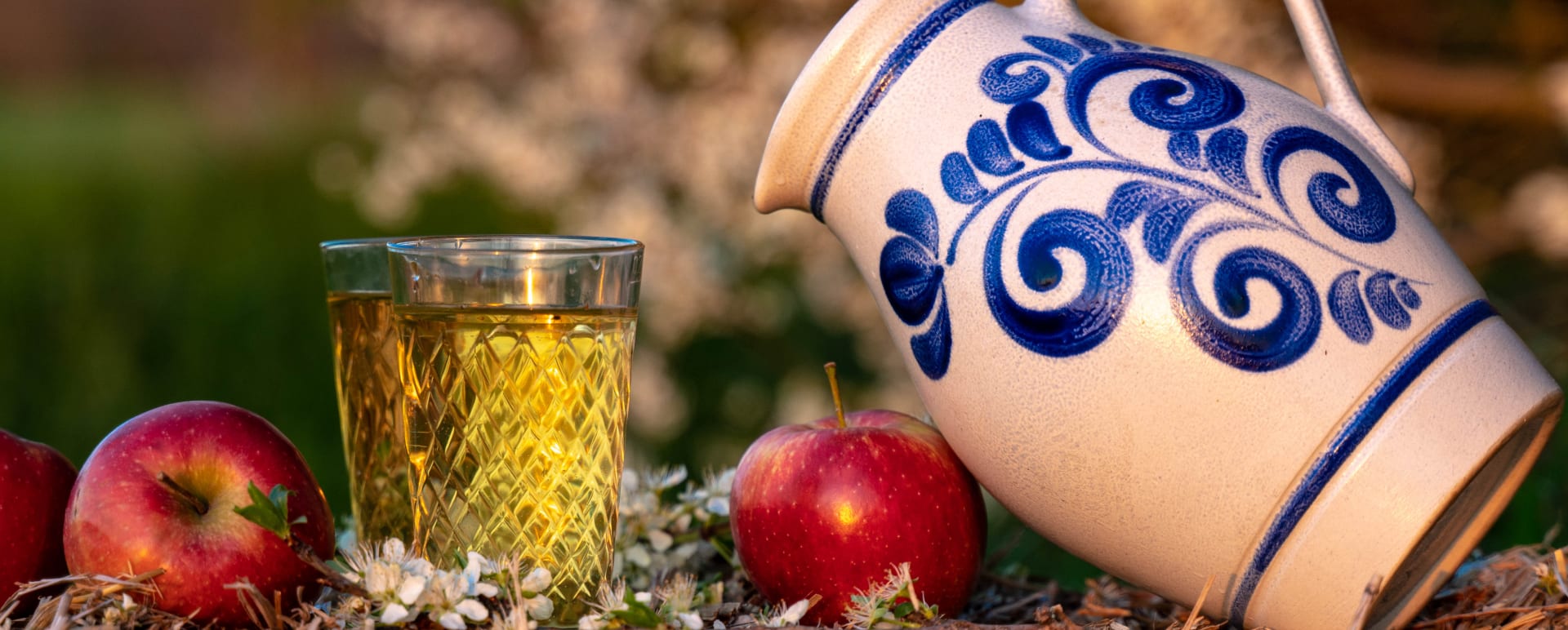 Frankfurt Apple Wine Tour