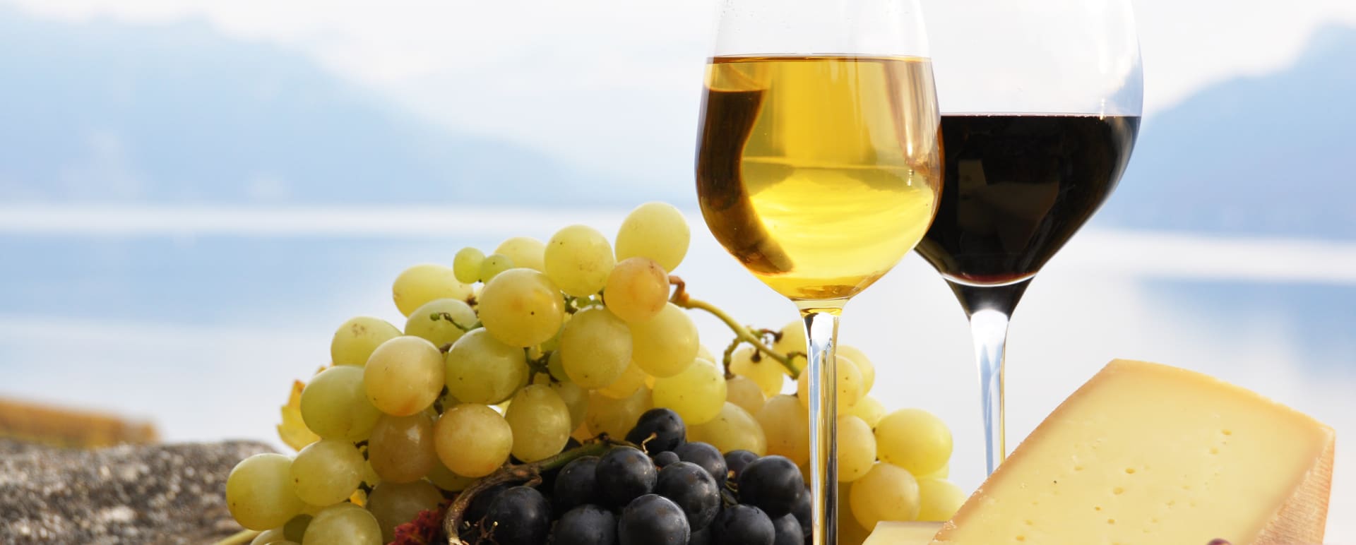 Cheese Wine tasting by Lake Constance Scott Dunn