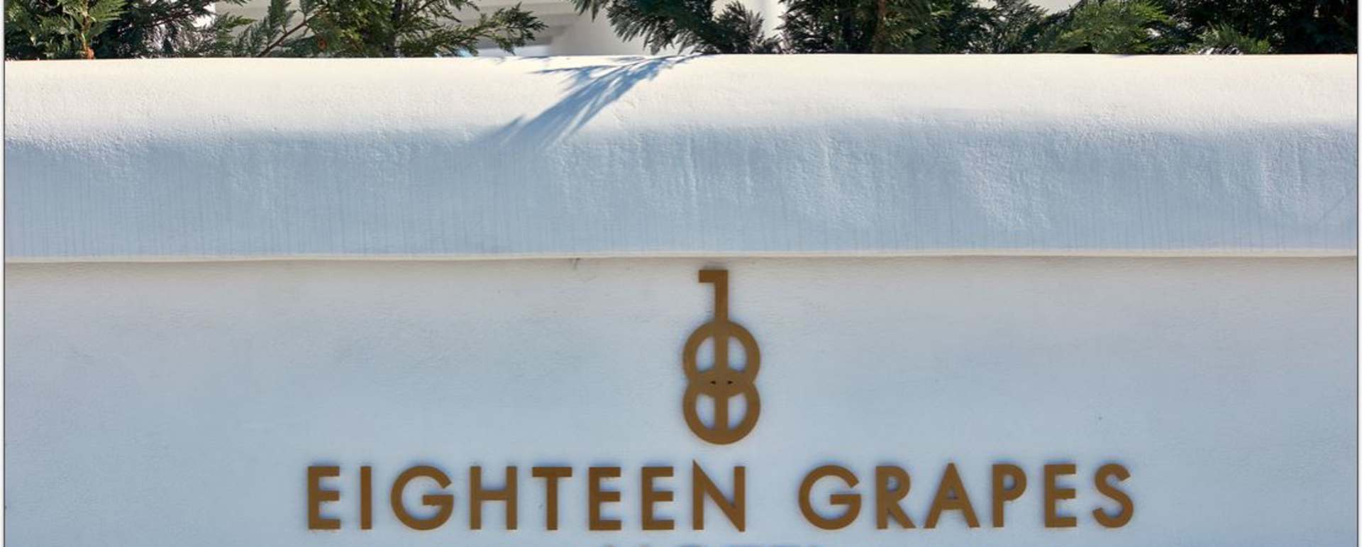18 Grapes - Logo 