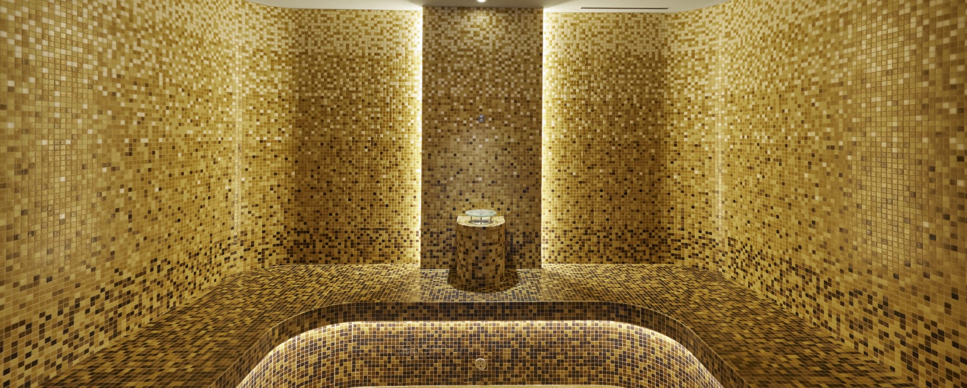 Spa Steam Room 