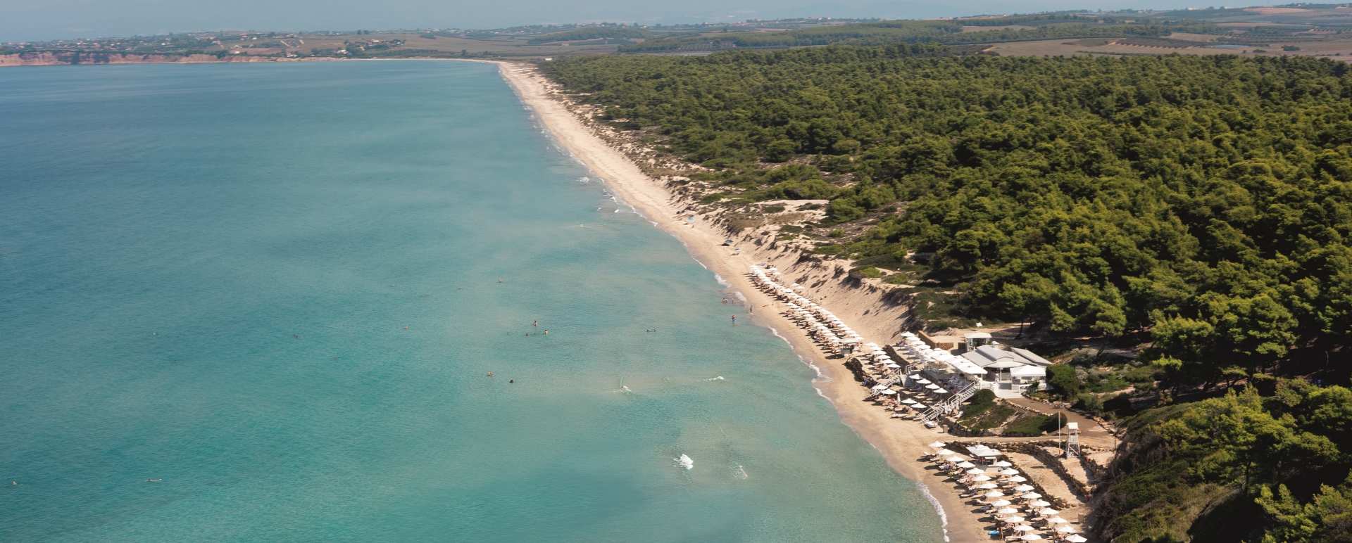 Coastline - Sani Beach