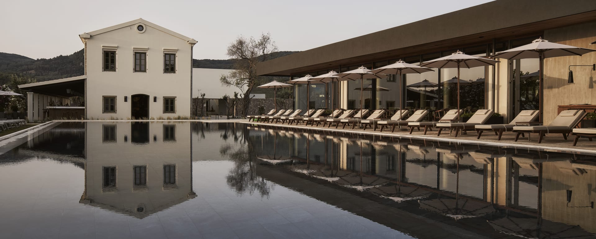 Olivar Pool 