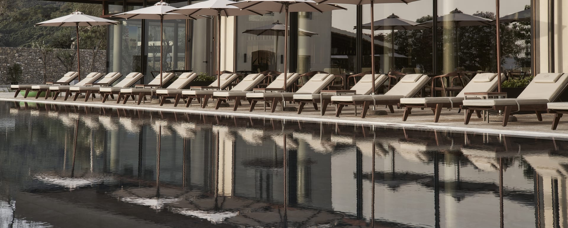 Olivar Pool 