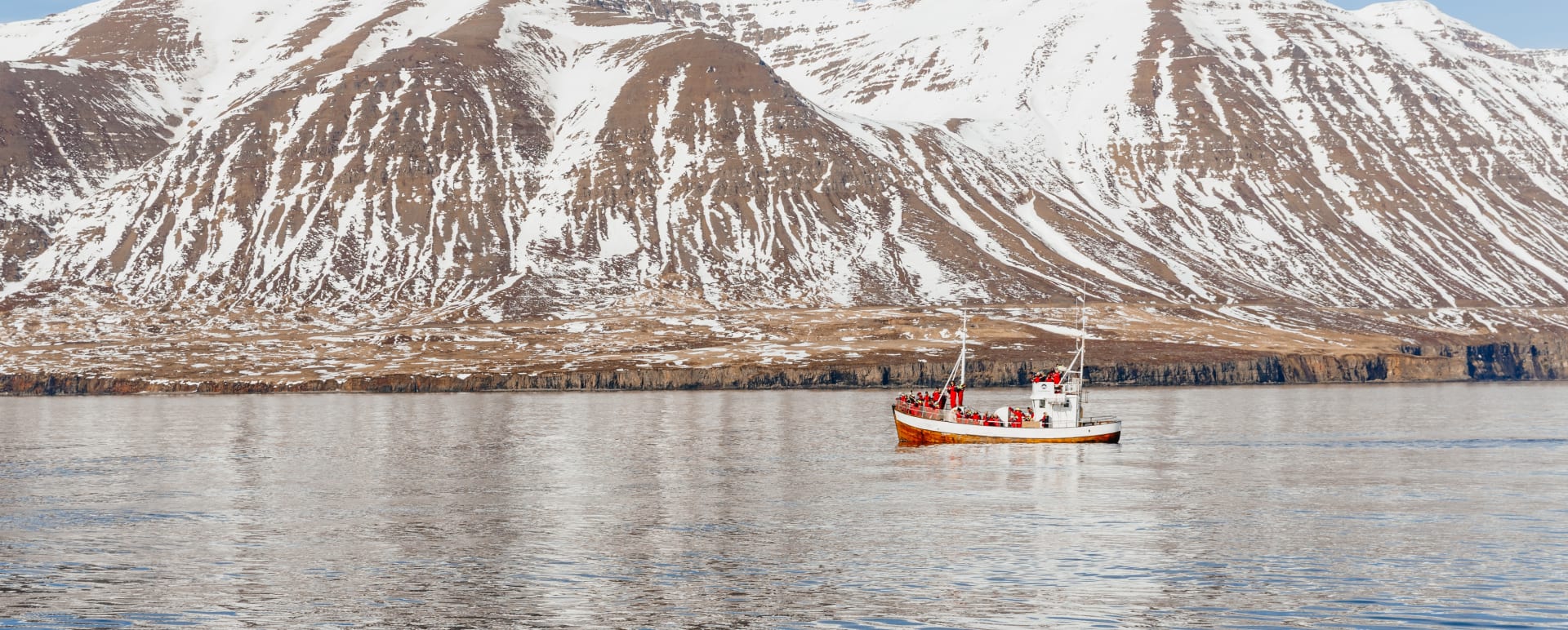 Arctic Coastline Whale Watching Day Tour