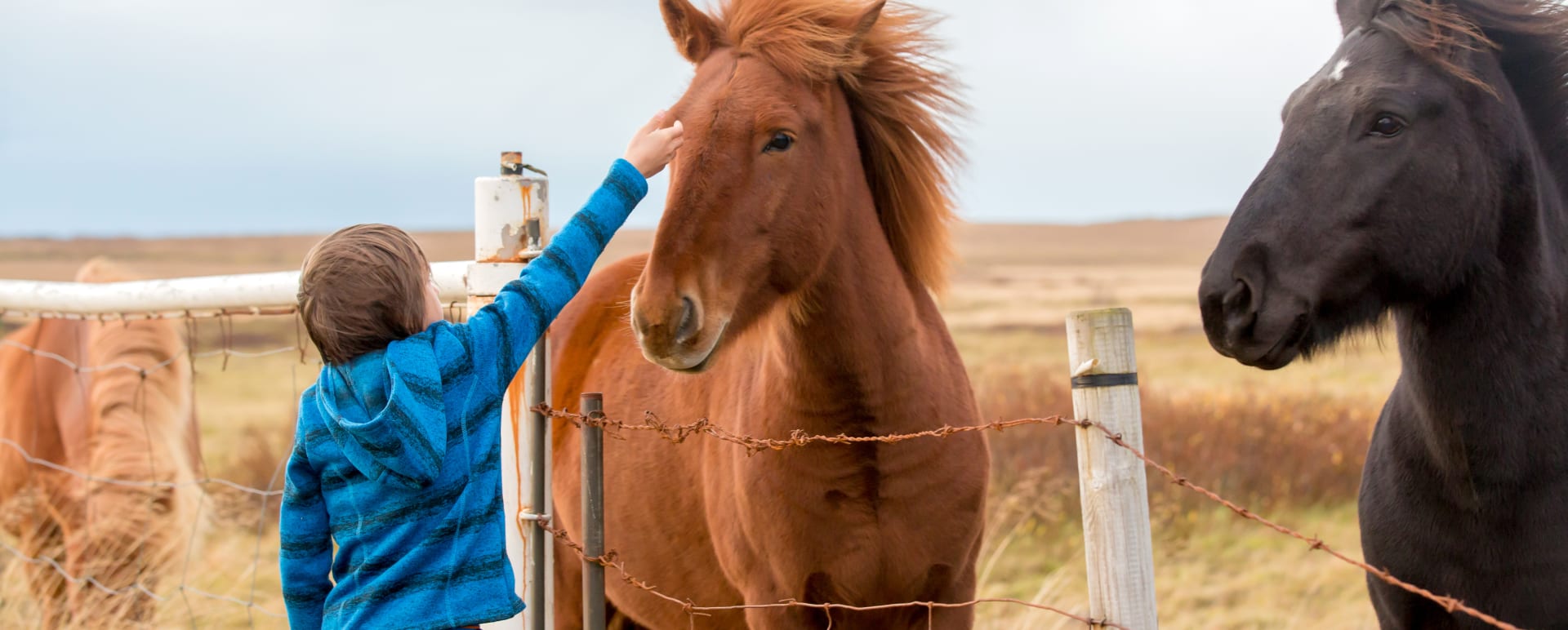 Private Icelandic Farmstead Food Experience