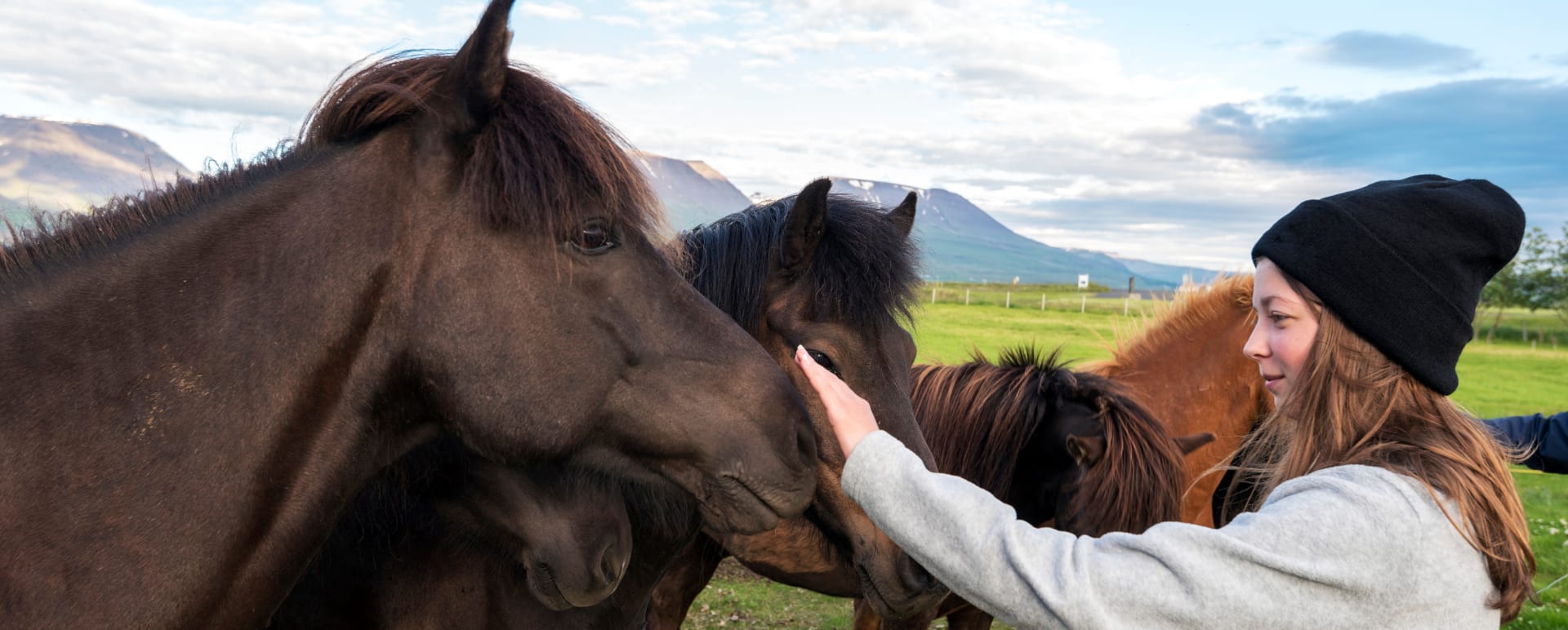 Private Reykjadalur Horseback Stable Experience
