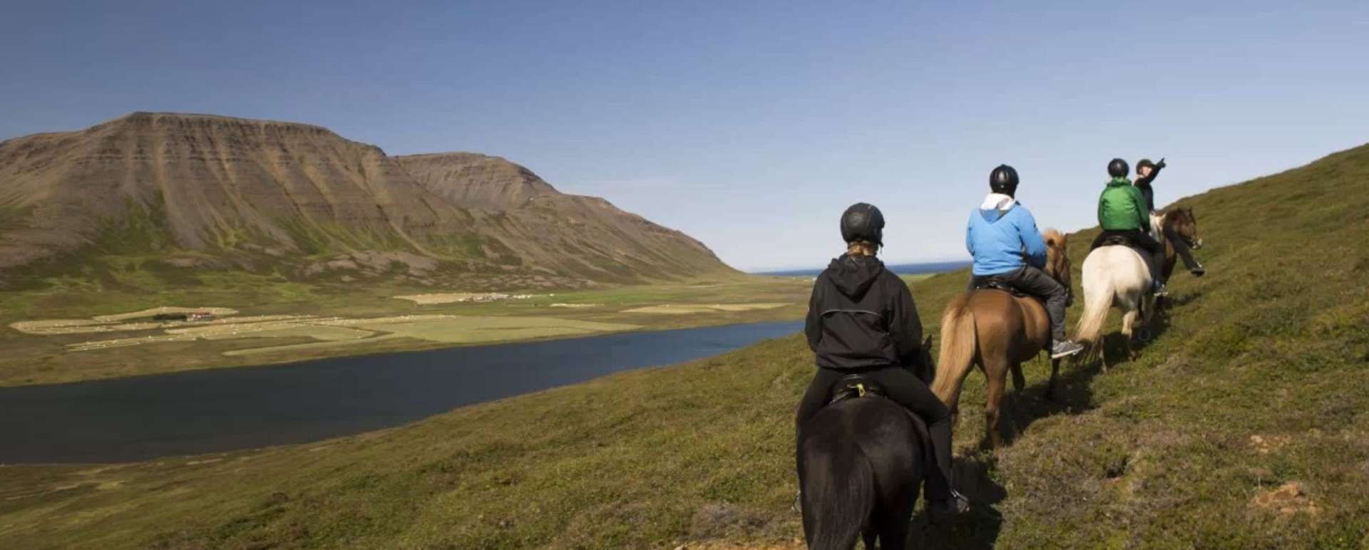 Horse Riding  