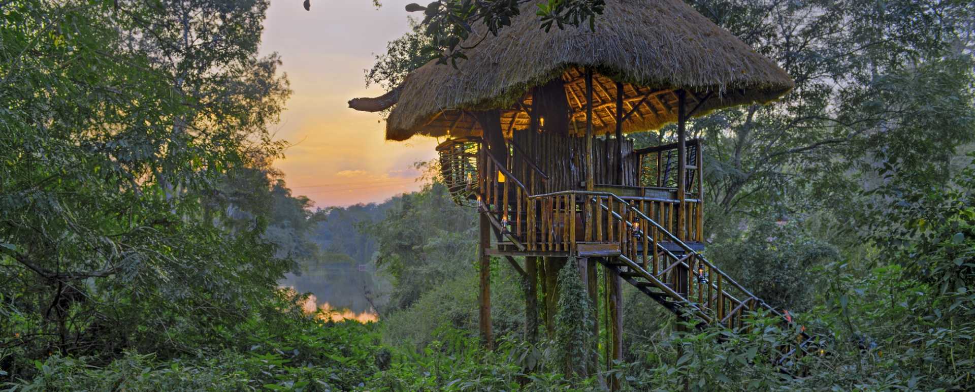 Treehouse - Evolve Back Chikkana Halli Estate