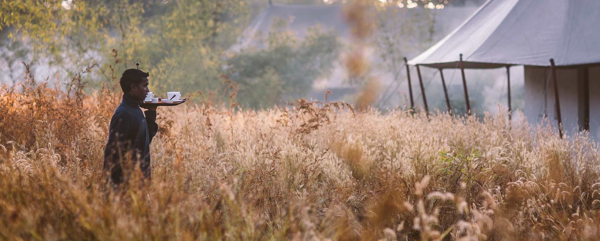 Excellent Service - Jamtara Wilderness Camp