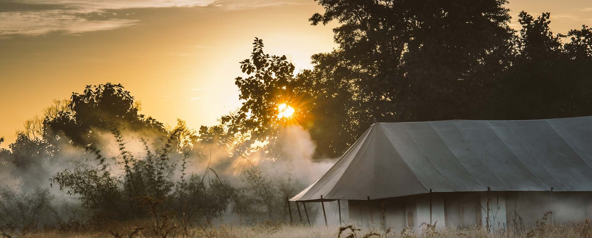 Misty Mornings - Jamtara Wilderness Camp