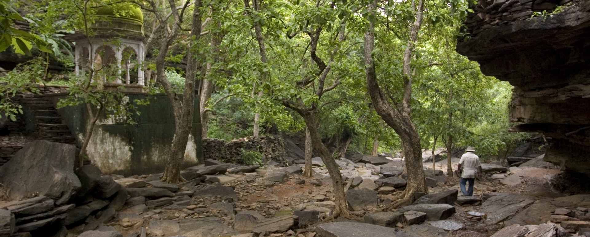 Cave Temple - Ramathra Fort