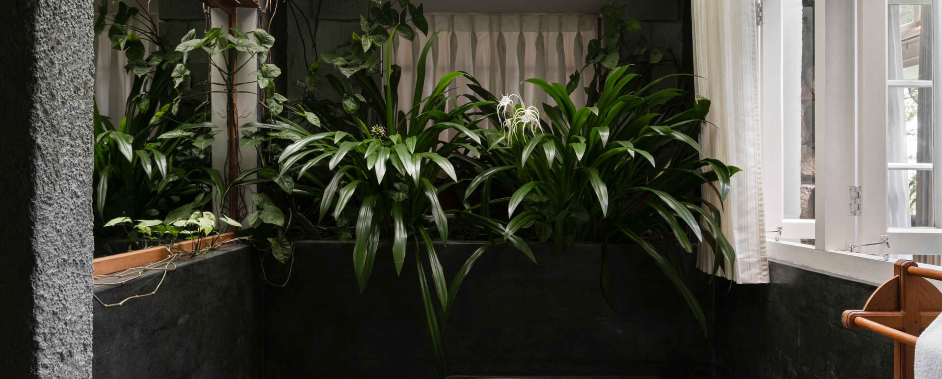 Bathroom - Spicetree 