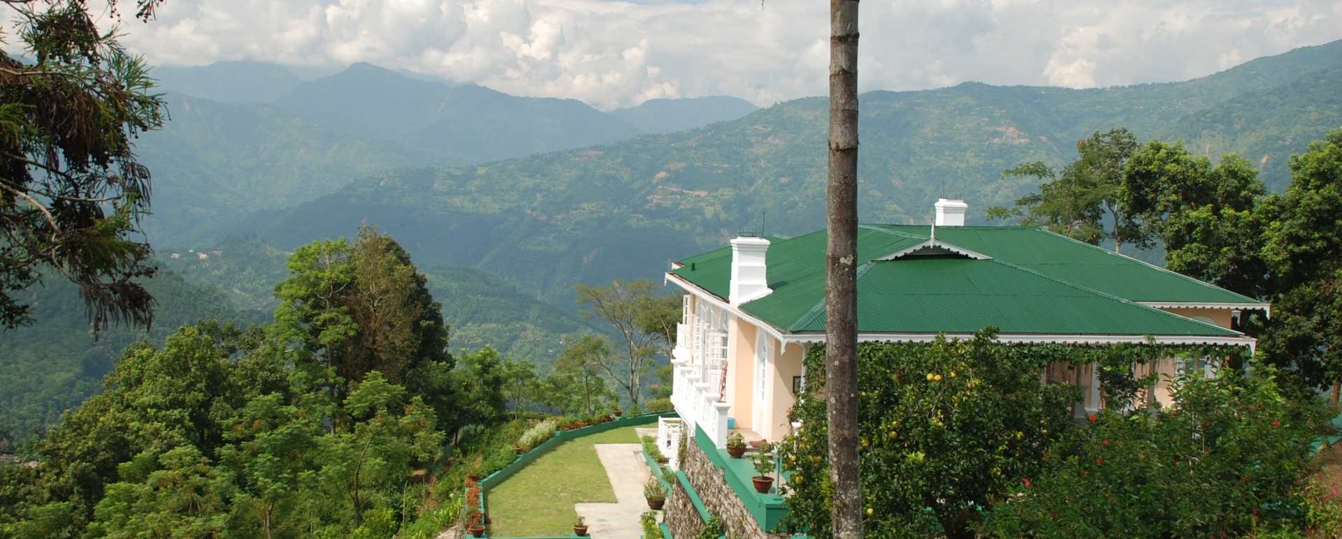Aerial View - The Glenburn Tea Estate