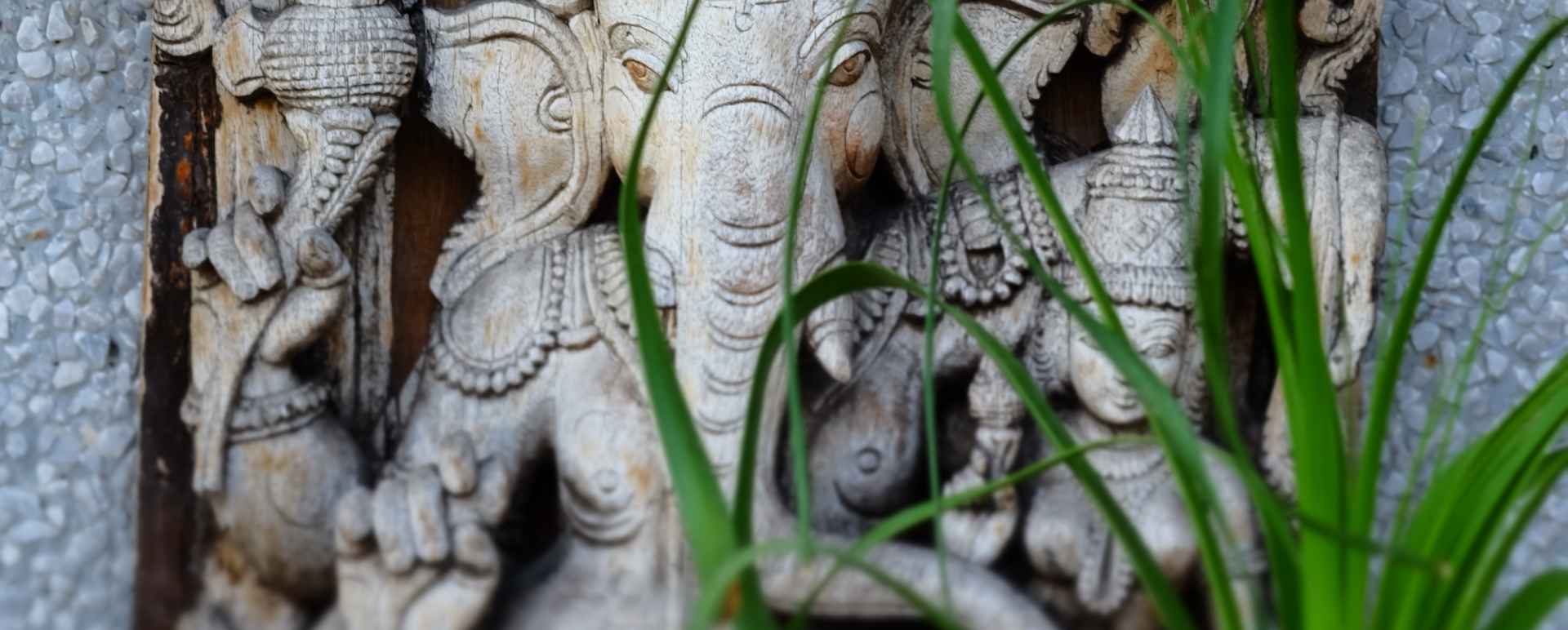 Art at Thikana - Thikana Delhi