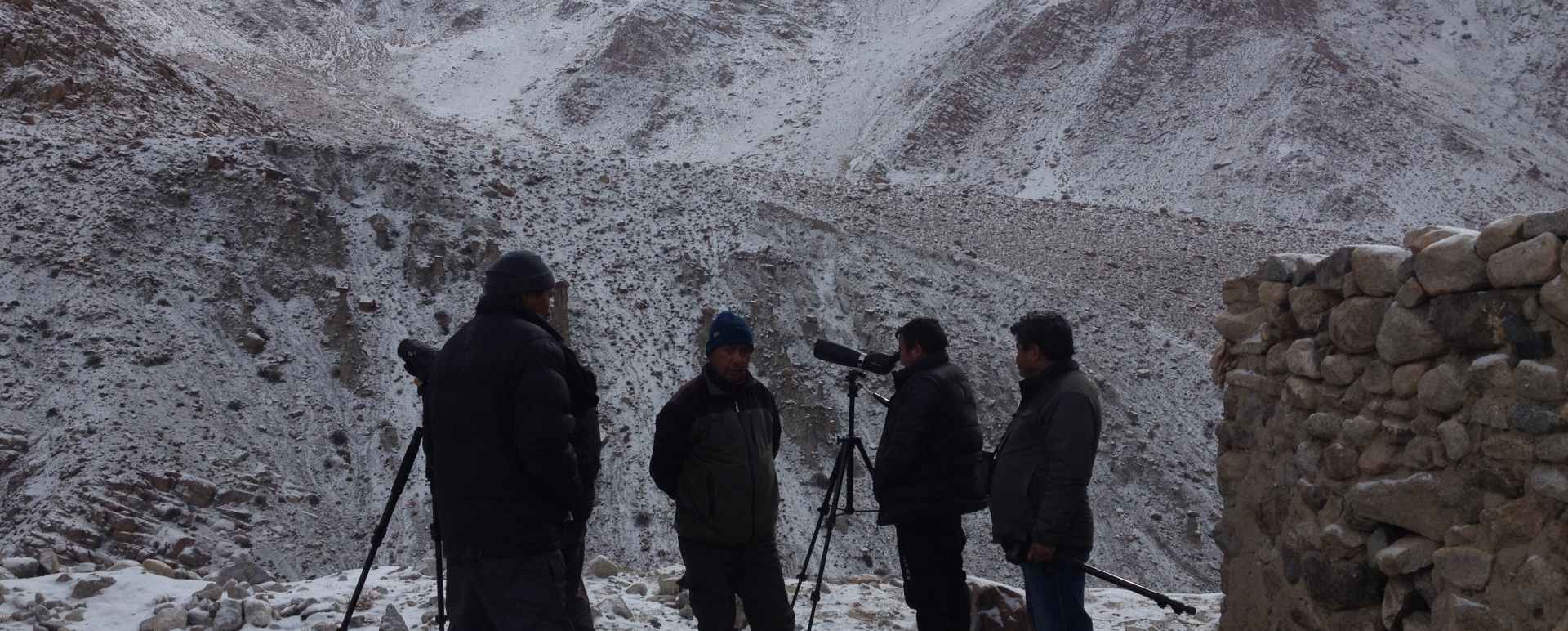 Tracking  - Spotting Snow Leopards in Himalaya