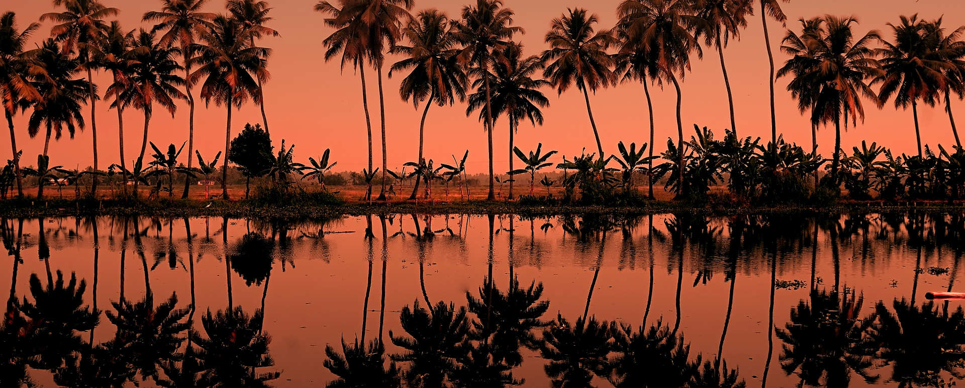 Sunsets - Kerala and the Maldives
