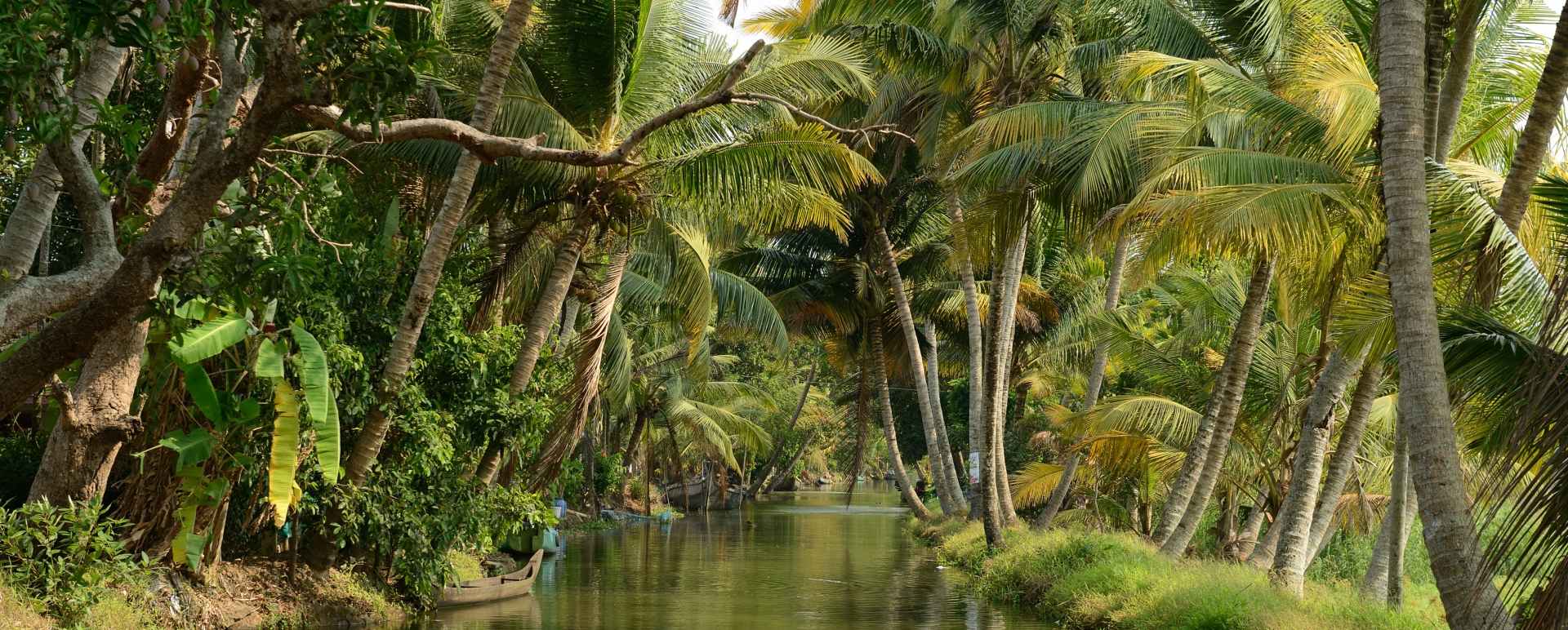 Backwaters - Kerala and the Maldives