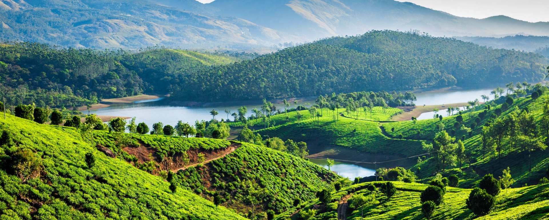 Munnar - Treasures of Cochin & Tamil Nadu